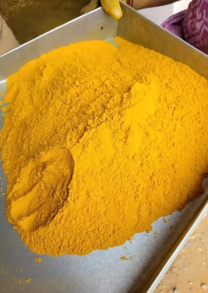 Turmeric powder